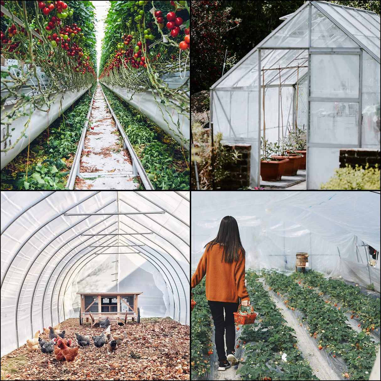 VEVOR Greenhouse Plastic Sheeting 8 x 25 ft, 6 Mil Thickness UV Resistant Clear Polyethylene Film, Hoop Green House Cover for Farms, Agriculture, Garden