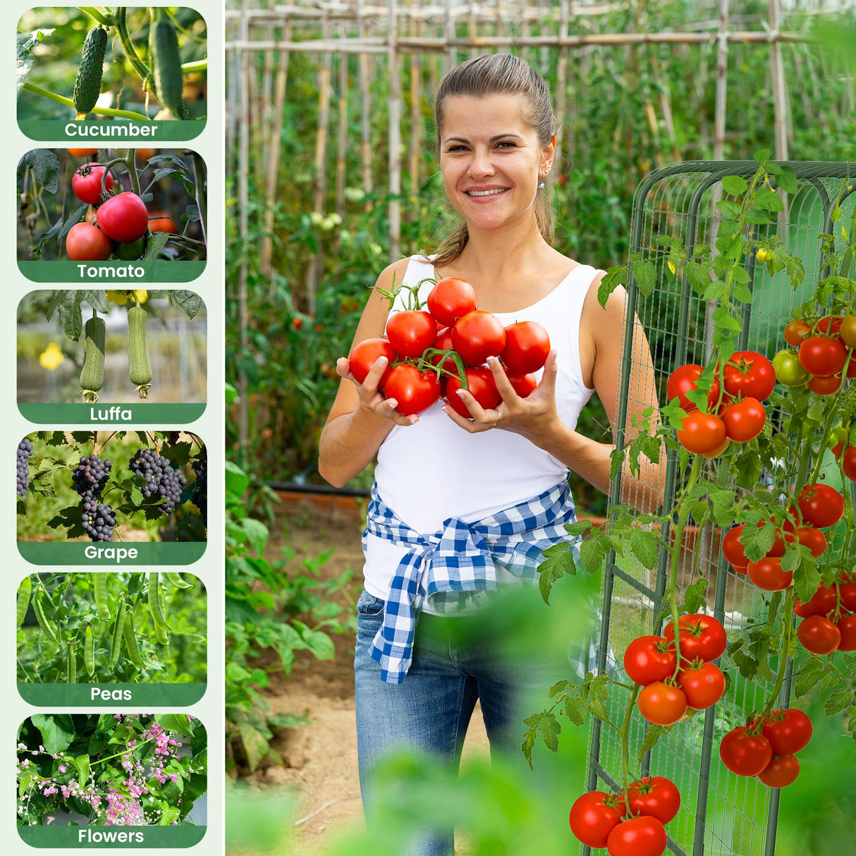 Cucumber Trellis for Raised Bed, 63" Heavy Duty U-Shape Garden Trellis for Climbing Plants Outdoor, Rustproof Plastic Metal Arch Vegetables Trellis Plant Support for Vine, Fruits, Beans and Flowers