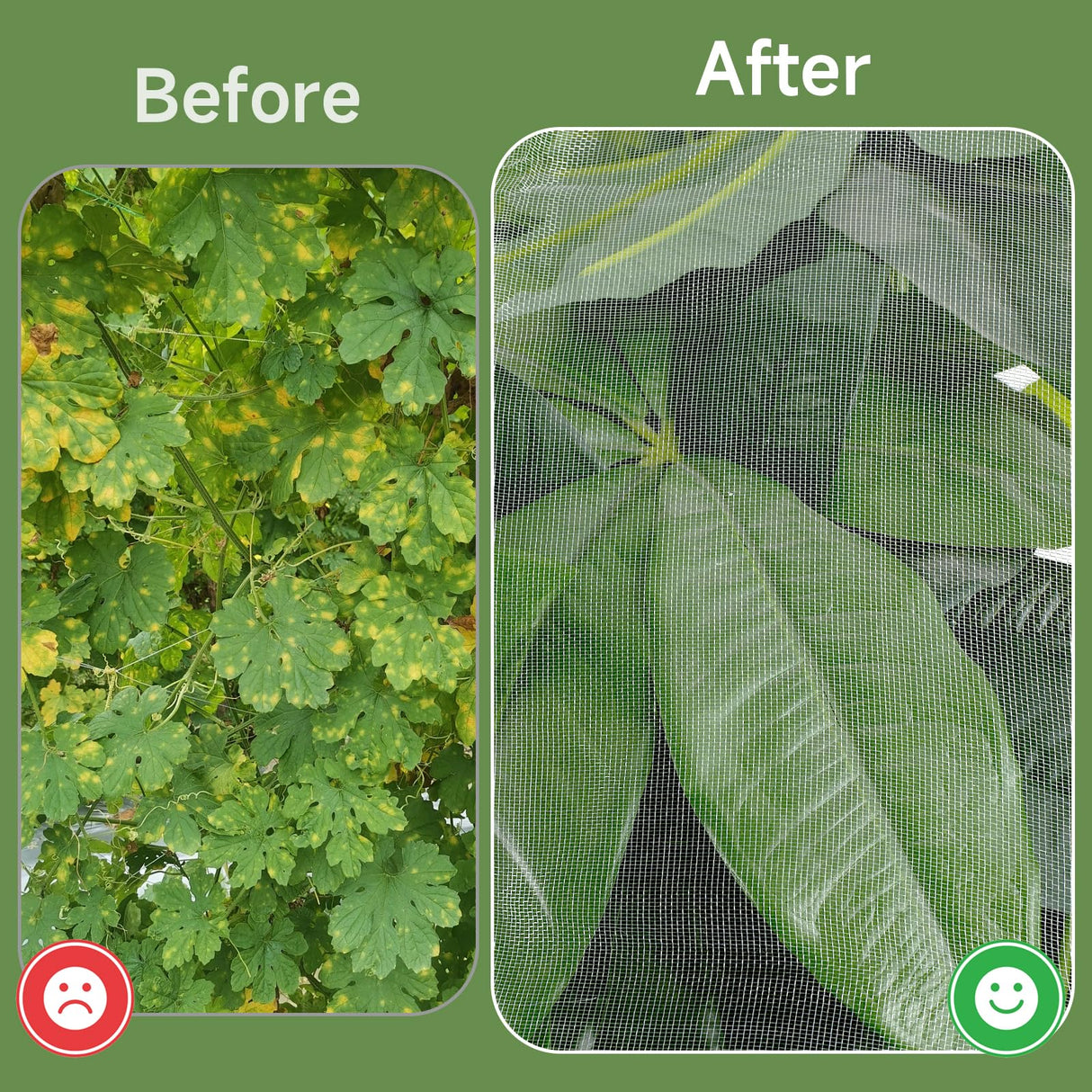 TMFsode Fruit Tree Netting with Zipper and Drawstring, 6Ft x 6Ft, 2Pcs