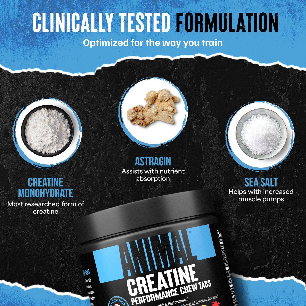 Animal Creatine Chews Tablets - Enhanced Creatine Monohydrate with AstraGin to Improve Absorption, Sea Salt for Added Pumps, Delicious and Convenient Chewable Tablets - Fruit Punch