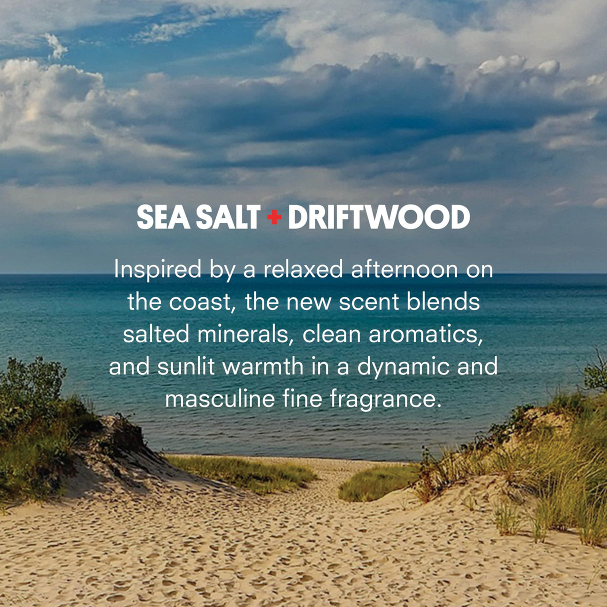 Huron Eau de Parfum - Everyday Fragrance for Men - Clean, Aromatic Notes of Mandarin, Cardamom, Blue Sage, Lavender & Ocean Air - Long Lasting Men's Cologne - Safe, Clean Ingredients - 1.7 Fl. Oz.