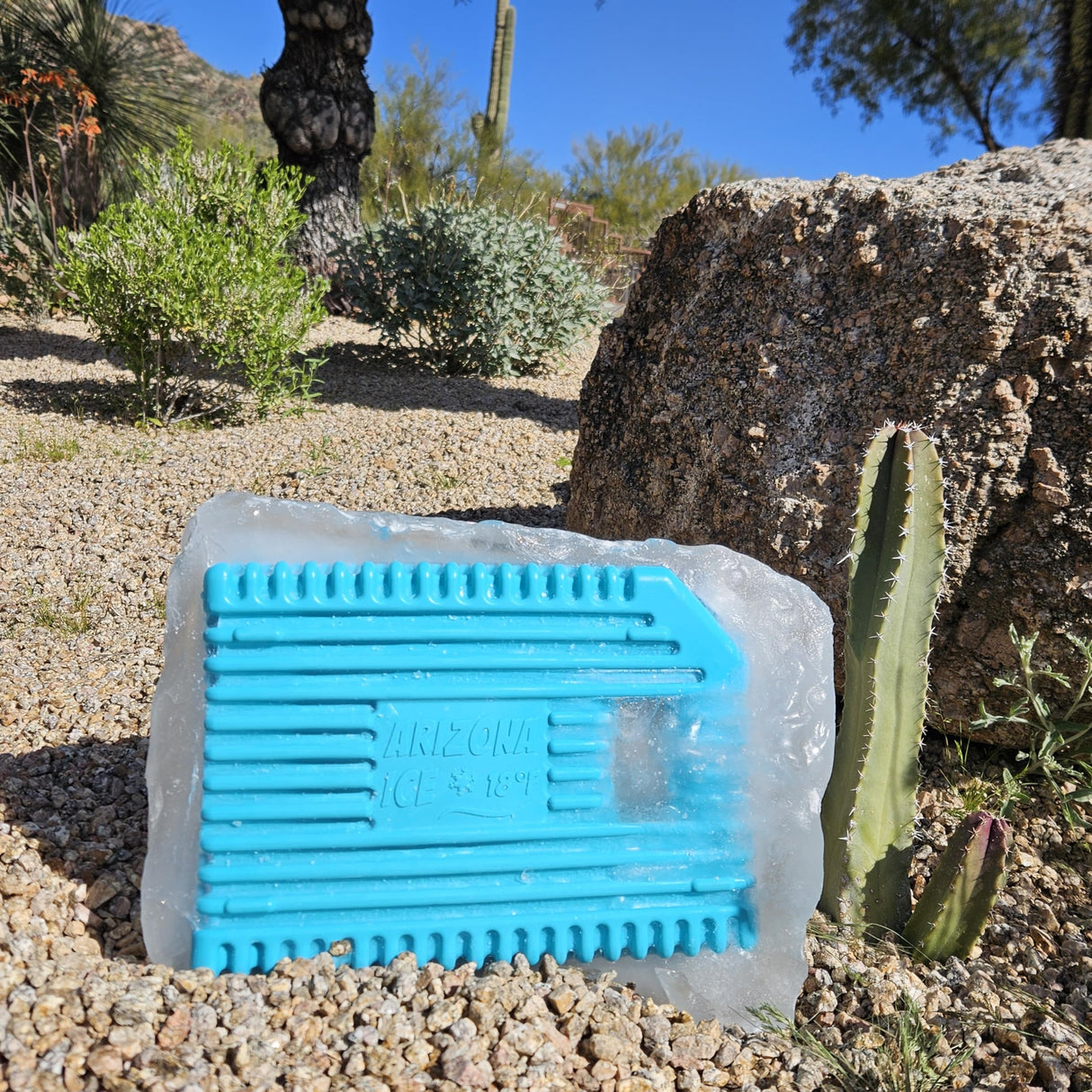 Arizona Ice Large Industrial Ice Packs | Replaces 10lbs of Ice |18°F (-8°C) | Deepest Grooves | May Freeze Drinks | USA Company | 12" x 9" | Two Pack