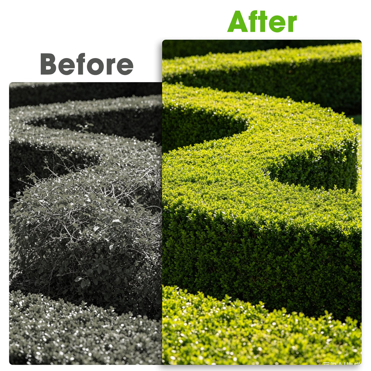 Hedge Shears,30" Hedge Clippers with Sharp Blades Lightweight Garden Scissors for Trimming Bushes Shrubs Manual Plant Shears Gardening Tools with Comfortable Handle for Gardening Landscape Care