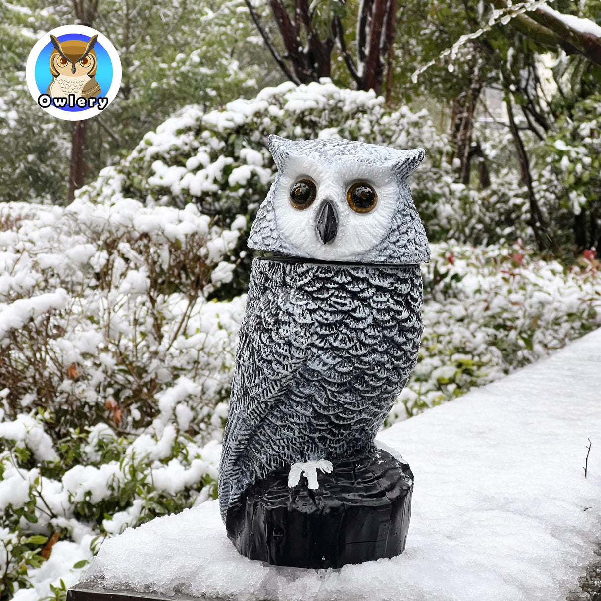 Owlery Snowy Solar Owl With Motion Detector, Flashing Eyes, Spinning Head, Realistic Hooting and Silent Mode, Outdoor Statue, Winter Garden Decoration for Home, Patio and Fence