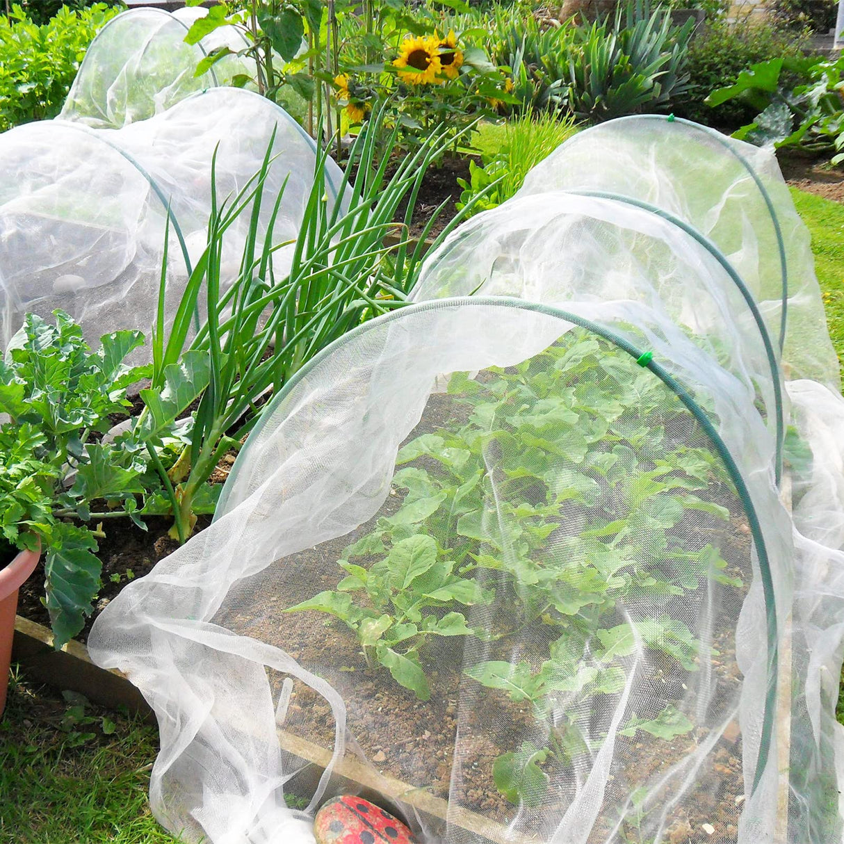 GonLei Garden Netting 10 X 30 FT Ultra Fine Garden Mesh Netting Protection Net Plant Cover Screen Vegetable Row Cover,Blueberry Netting Shrubs Fruits Tree Flowers Garden Screen Barrier Net