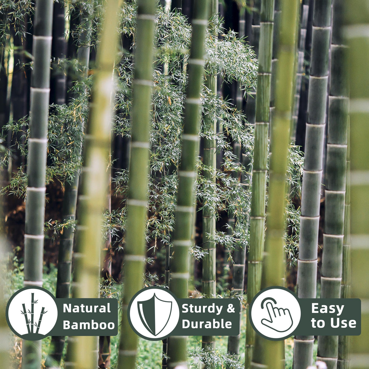 50Pcs / 4ft Bamboo Plant Stakes for Indoor Outdoor Plants, Garden Plant Support Sticks, Poles for Tomato Vegetables Beans Trees Potted Climbing Plants(0.32''-0.4'')