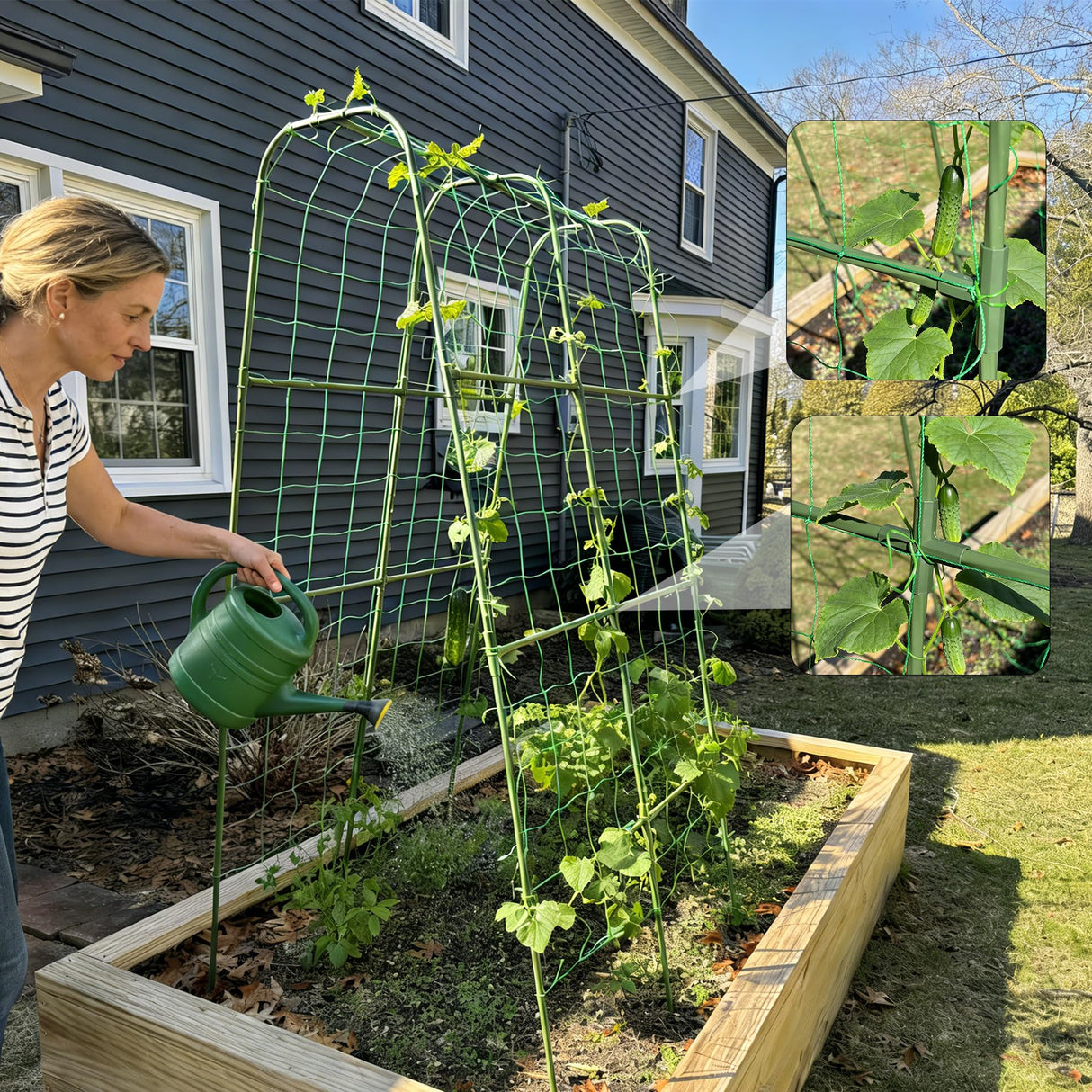 Miory Cucumber Trellis, 63" Tall U-Shape Trellis for Raised Bed, Garden Arch Trellis for Climbing Plants Outdoor, Plant Support for Vines, Steel with PE Coated (32" Lx32 Wx63 H)