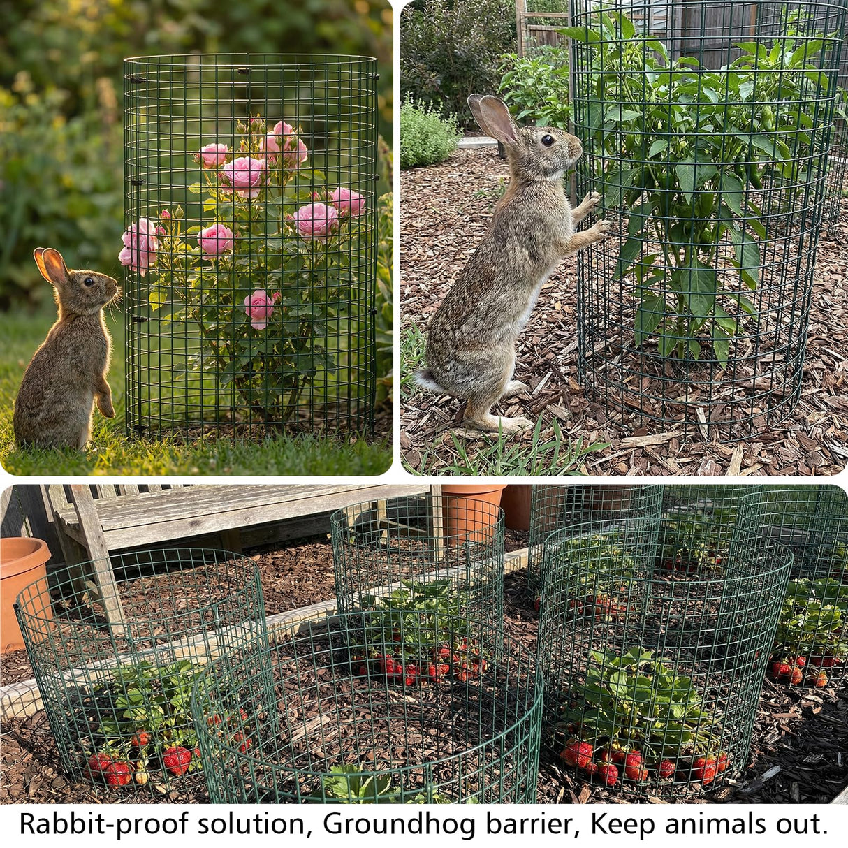 FTLKIBMD 8 Pack Extra Tall Plant Protectors from Animals, 12"x24" Wire Garden Cages for Large Plants Shrubs, 2mm Heavy Duty Metal Mesh Guard for Deer Rabbits, Reusable Garden Protection with Stakes