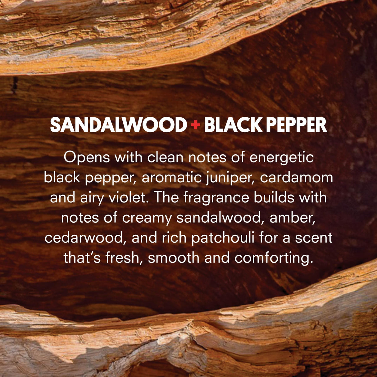 Huron Eau de Parfum - Everyday Fragrance for Men - Clean & Woody Scent of Sandalwood, Black Pepper, Cedarwood, & Amber - Long Lasting Men's Cologne - Safe, Clean Ingredients - 1.7 Fl. Oz.