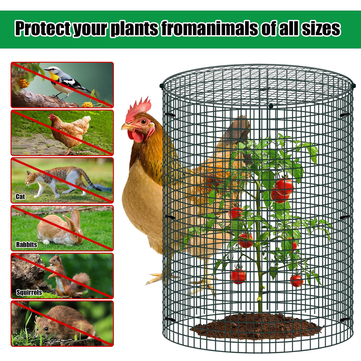 10 Pack Wire Plant Protector with Cover, 16"x12"
