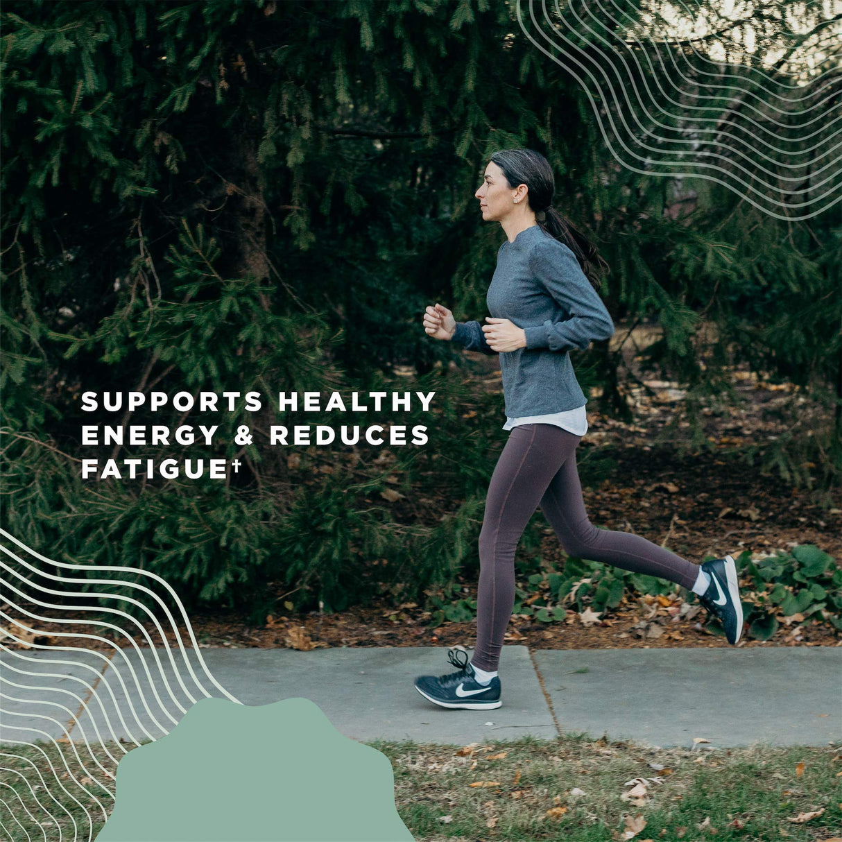 Ancient Nutrition Women's Hormones, Helps Reduce Stress, Supports Energy, Hormone Balance, Gluten Free, Paleo and Keto Friendly, 60 Capsules