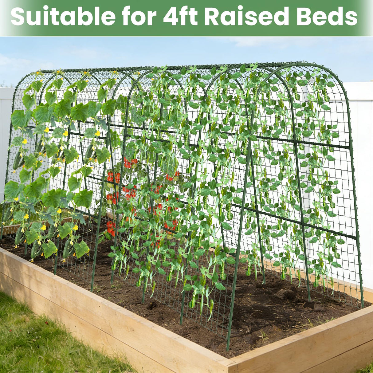 Cucumber Trellis, Metal Garden Arch Trellis for Raised Bed, 48 x 48inch U-Shape Garden Trellis for Climbing Plants Outdoor, Vegetables Fruit Plant Support with Netting, Gardening Supplies (Green)