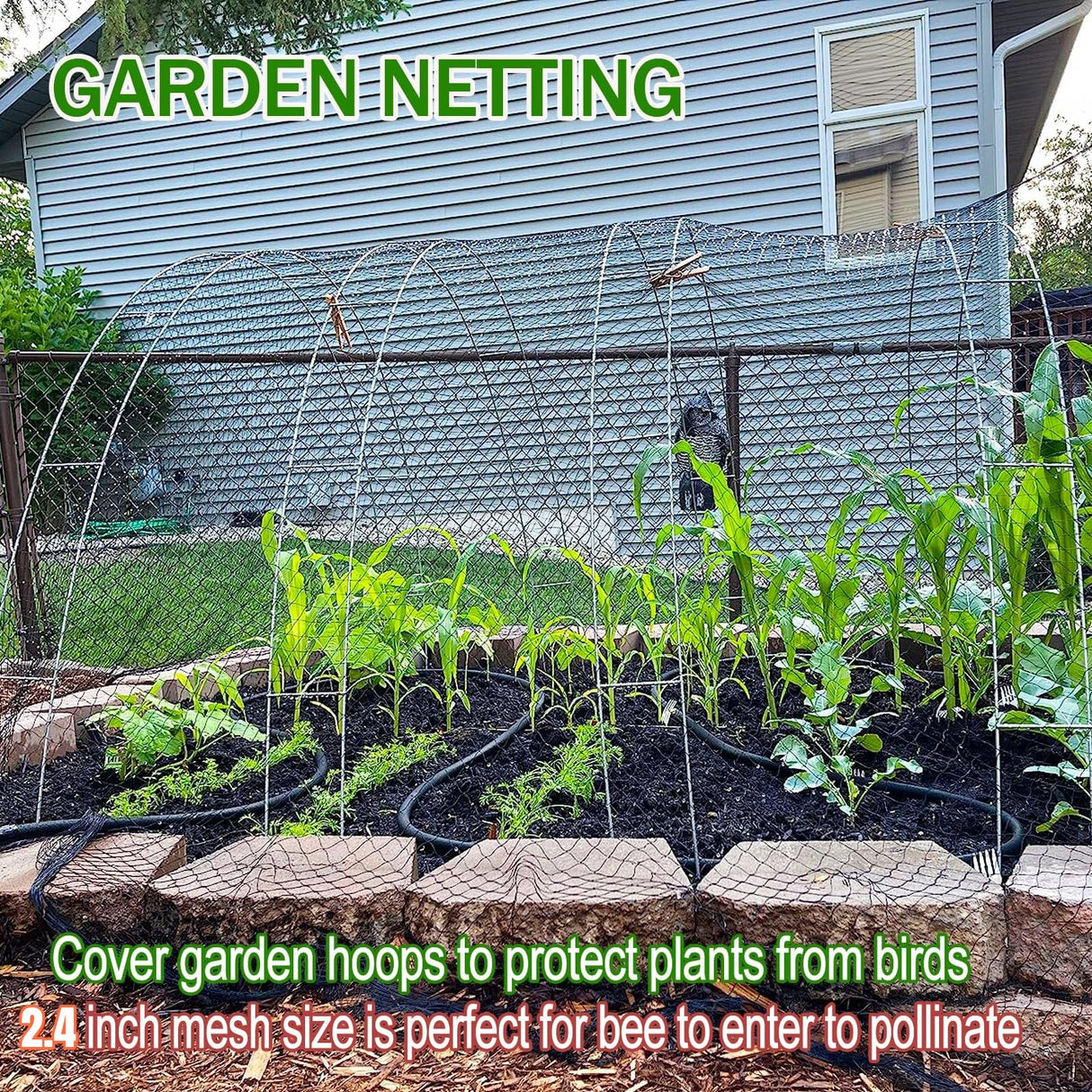 CITOOTY Bird Netting for Chicken Coop Run, 25x50 Ft Heavy Duty Poultry Netting with 2.4" Mesh, UV Resistant Black Net Garden Netting for Fruit Trees, Vegetable Plants, and Yard Protection