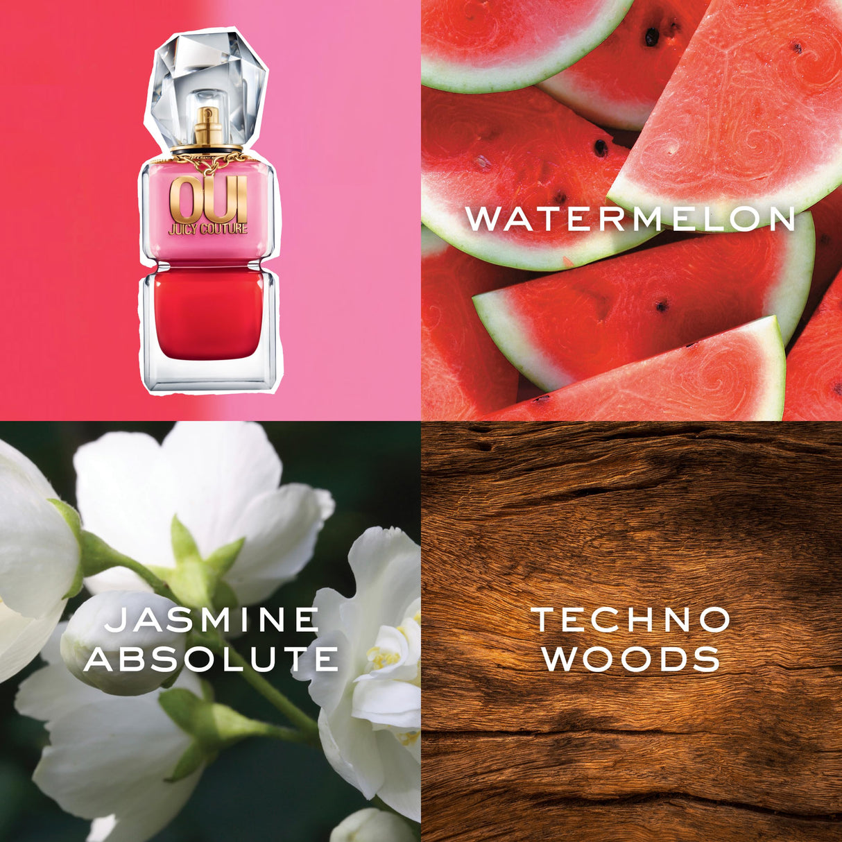 Juicy Couture Oui Eau De Parfum, Women's Perfume with Notes of Watermelon, Jasmine & Techno Woods - Fruity & Floral Perfume for Women, EDP Spray, 3.4 fl oz