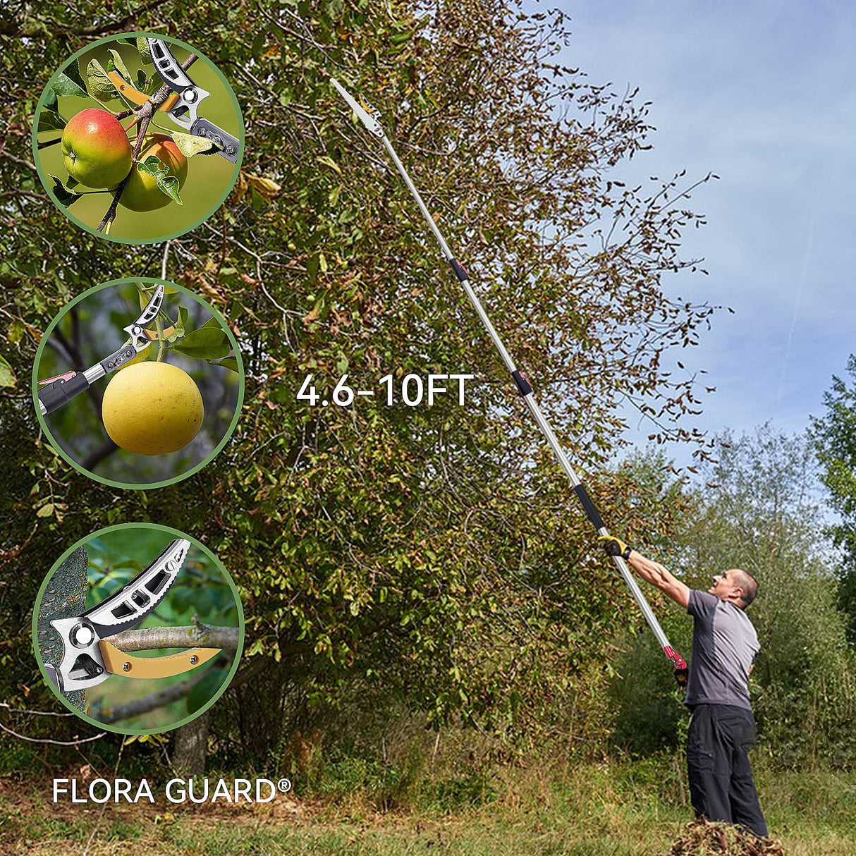 FLORA GUARD Extendable Tree Pruner 4.6-10ft, Telescoping Pole Pruner & Pole Saw with Cut & Hold Fruit Picker, Lightweight Long Reach Branch Trimmer for High Trees