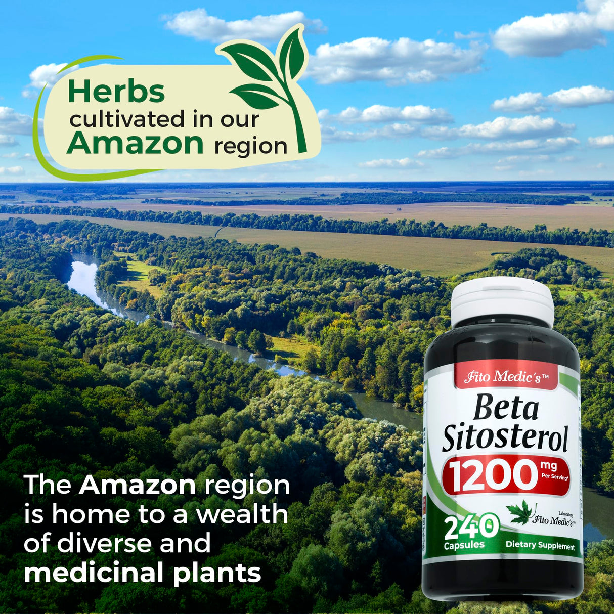 Lab | beta sitosterol| Plant sterols|240 Capsules |1200 mg | beta sitosterol Supplement | Ultra high Absorption.