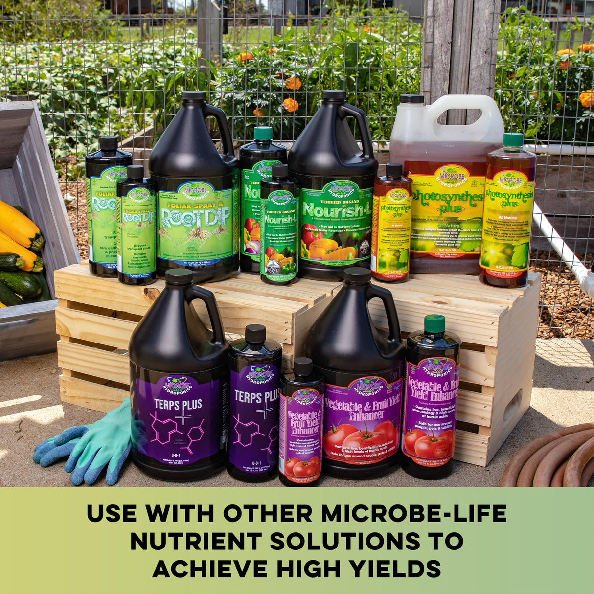 Microbe Life Hydroponics Premium Vitamins & Amino Acids Essential for Maximum Plant Growth and Root Uptake, Use with Any Feeding Systems Including Hydroponics or Soil, 32 Ounces
