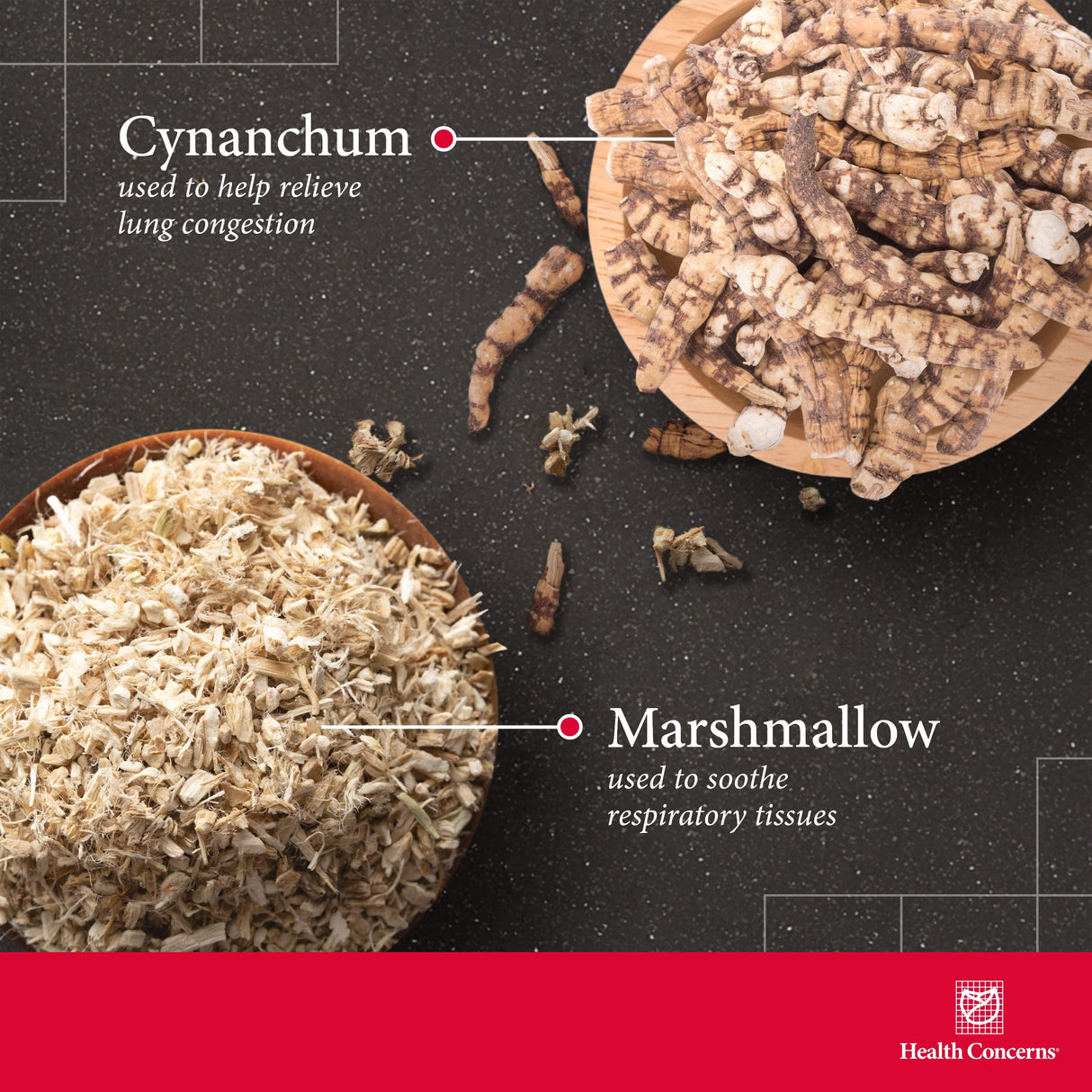 Health Concerns Clear Air - Lung Health & Respiratory Support Supplement - Marshmallow, Apricot, Bitter Orange, Garlic, Skullcap & More - Increases Oxygen Capacity & Reduces Mucus - 90 Capsules