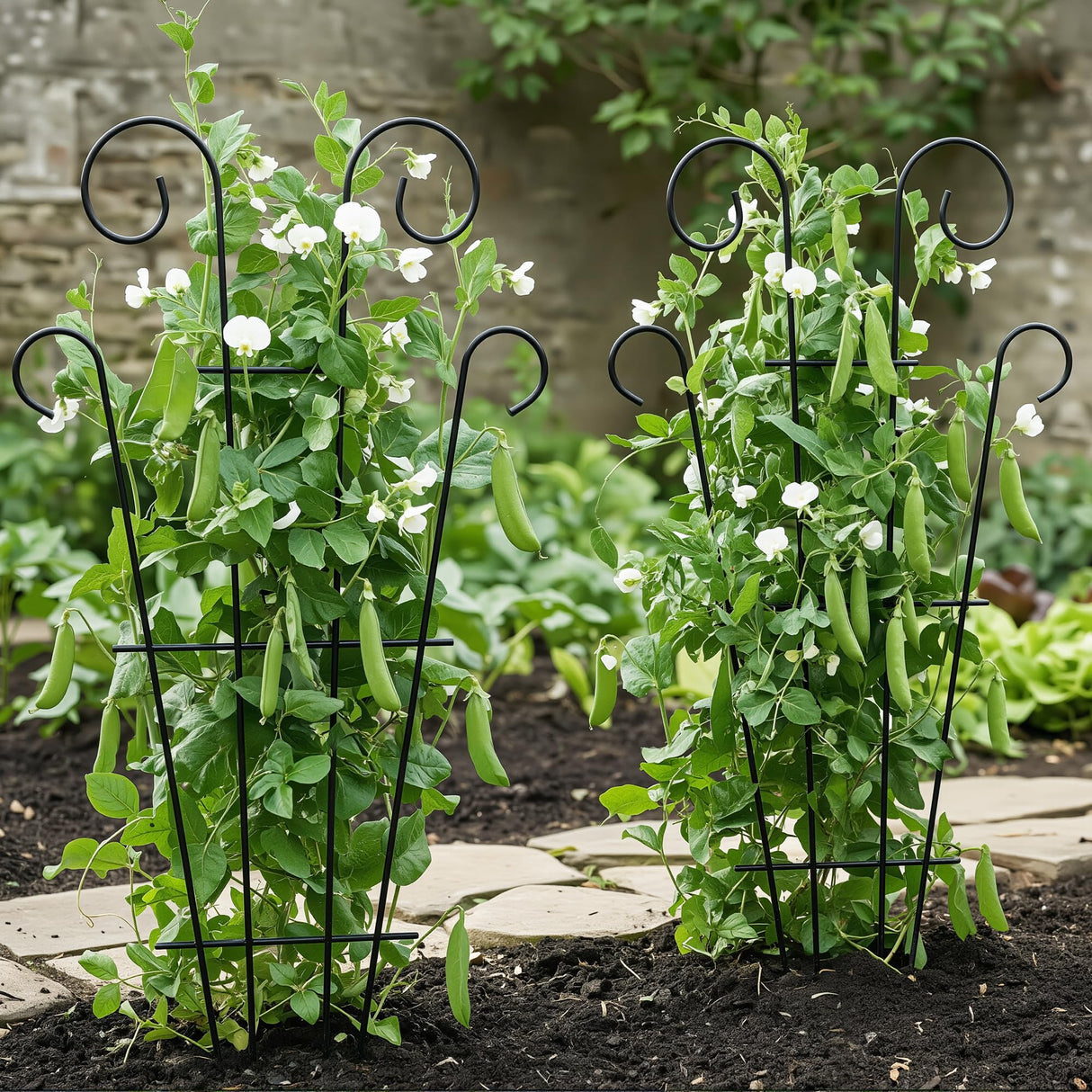 Thealyn 4 Pack 23 Inch Plant Trellis for Potted Plants