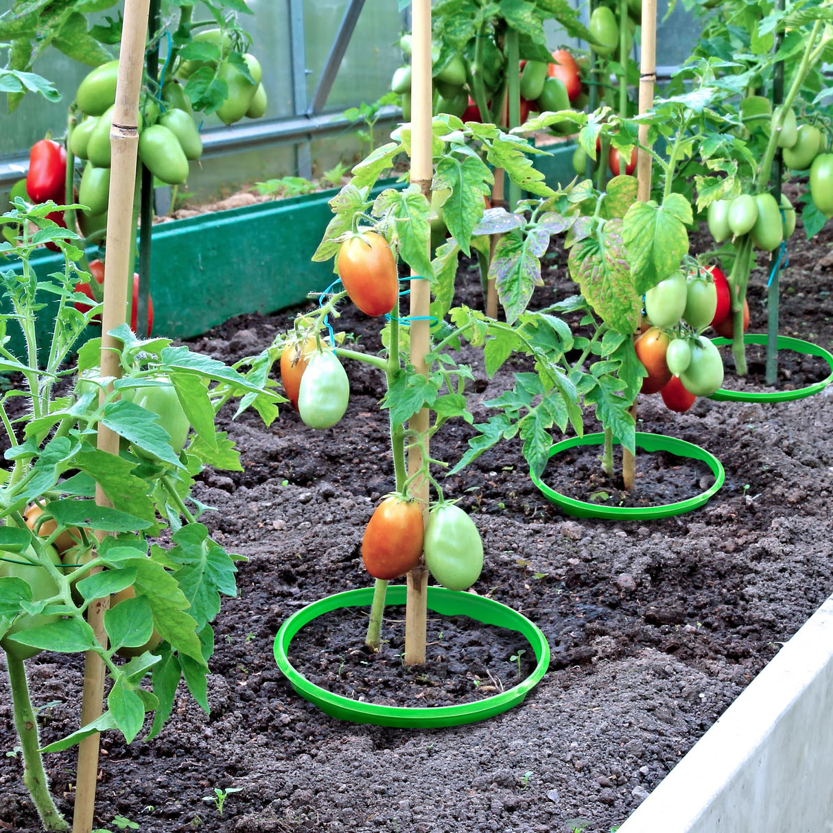 EBaokuup 6 Pcs 10 Inch Planting Grow Rings-Planting Protective Round Edging to Separate Rock and Pest-Planting Rings for Vegetables, Herbs and Flowers