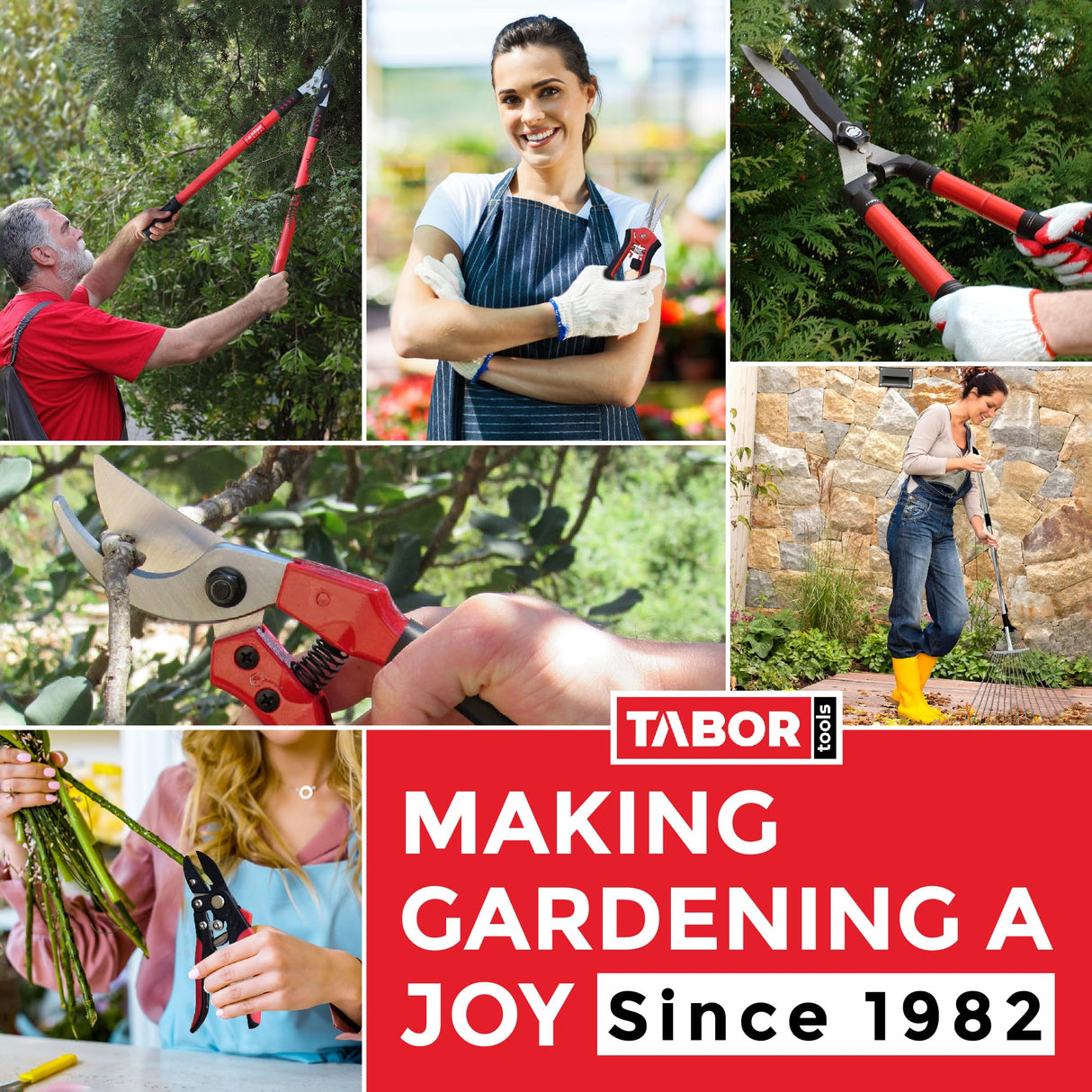 TABOR TOOLS GG21A Extendable Bypass Lopper with Compound Action, 27-40 Inch Telescopic Tree Trimmer & Branch Cutter, Long Reach Tree Pruner with 1 1/2 Inch Cut Capacity, Makes Clean Neat Cuts