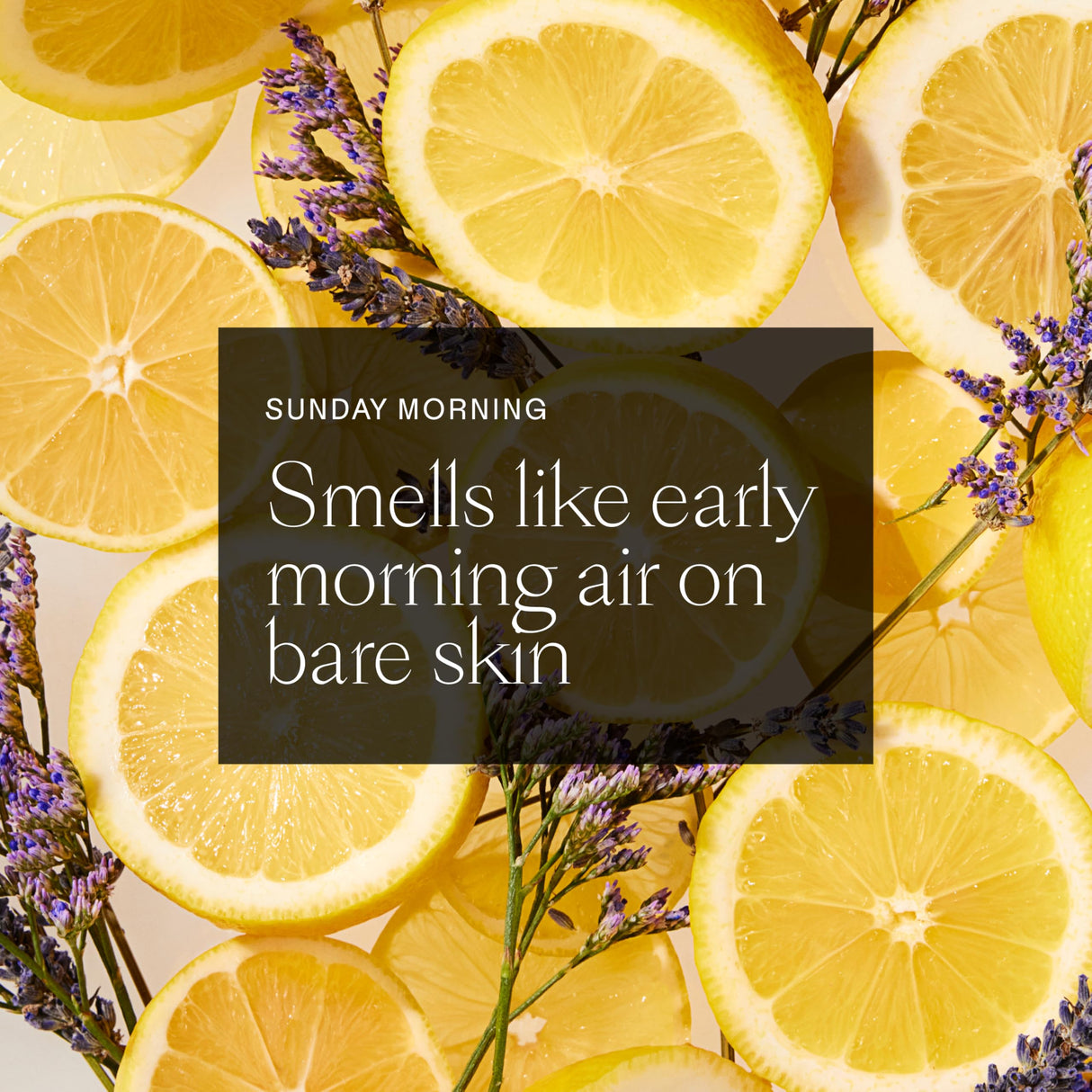 Each & Every All Natural Deodorant for Women & Men - Sensitive Skin, Plant-Based, Baking Soda & Aluminum-Free Deodorant - Long Lasting 24 Hr Odor Control - Multiple Scents (3 Pack, 2.5oz)