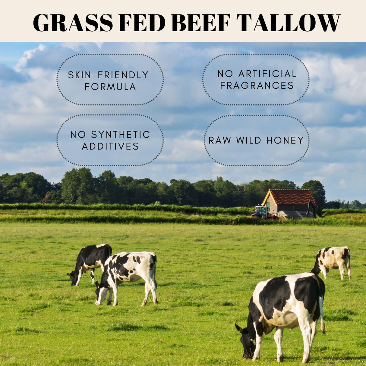 FRANDORA Beef Tallow and Honey Balm for Skin, All-Natural Moisturizer for Face and Body, Hydrating Grass-Fed Beef Tallow & Raw Wild Honey Blend