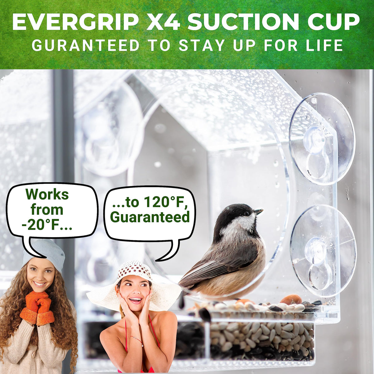 Window Bird Feeder with Strong Suction Cups, Bird Feeders for Outdoors