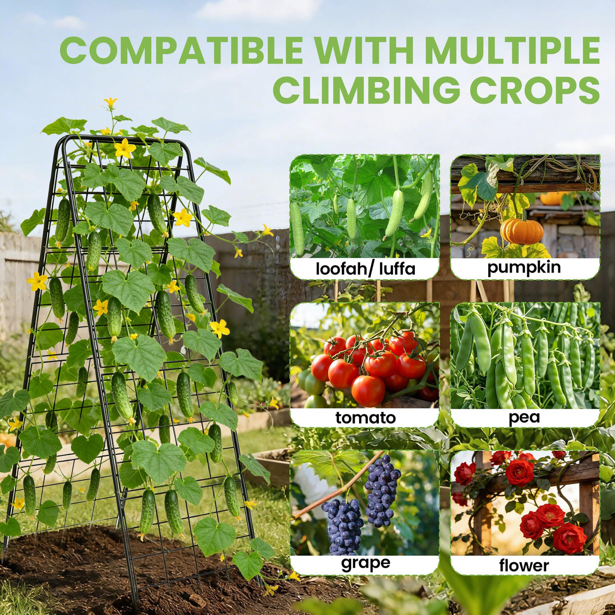Garden Trellis for Cucumbers, 50 x 16 Inch Adjustable A-Frame Plant Support for Climbing Plants Outdoor, Vegetable, Flowers, Heavy Duty 1cm Metal Vegetable Trellis for Backyard, Raised Bed, Patio