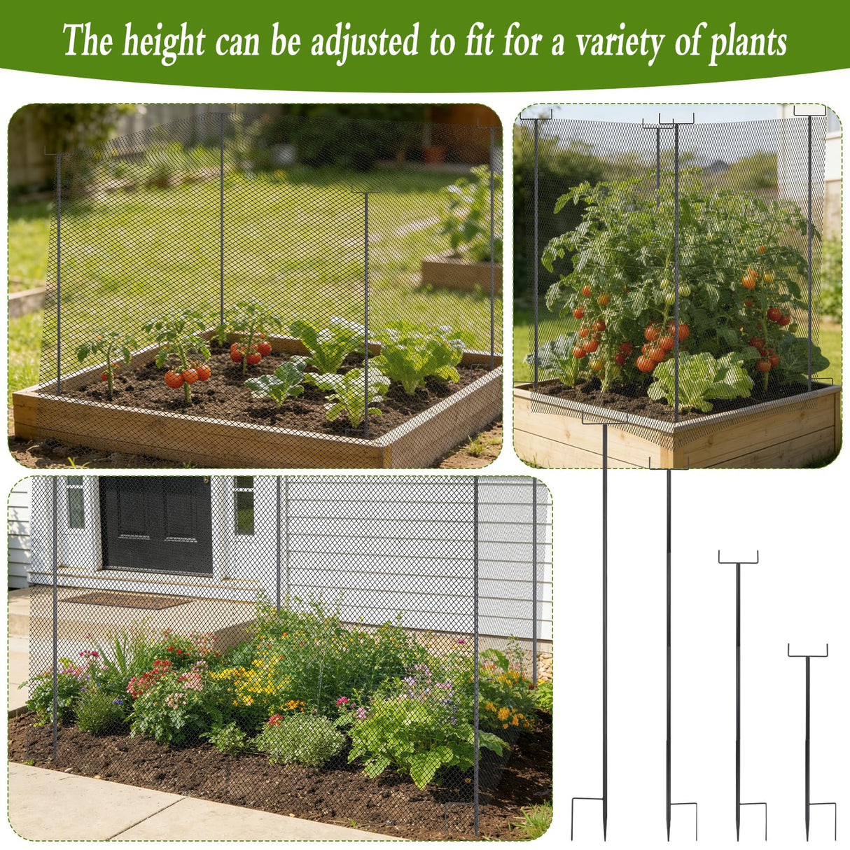 HFYZZ 4Pack 78.7 Inch Metal Garden Netting Support Stakes, Heavy Duty Rustproof Black Coated Steel Frame for Garden Fencing, Lawn Plant Support Pole for Blueberry Garden Bed Plant Crop Protection