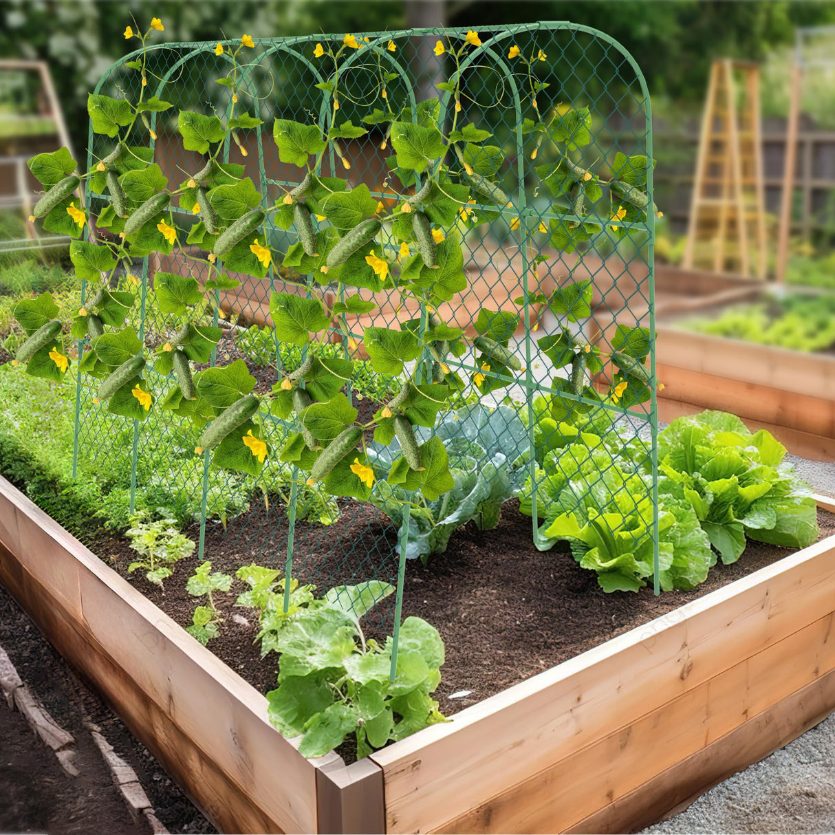 Cucumber Trellis, 50" X 47" U-Shape Garden Trellis for Climbing Plants Outdoor, Arch Trellis Cucumber for Raised Bed, Foldable Plant Support for Vine/Vegetable/Tomato/Zucchini/Pea
