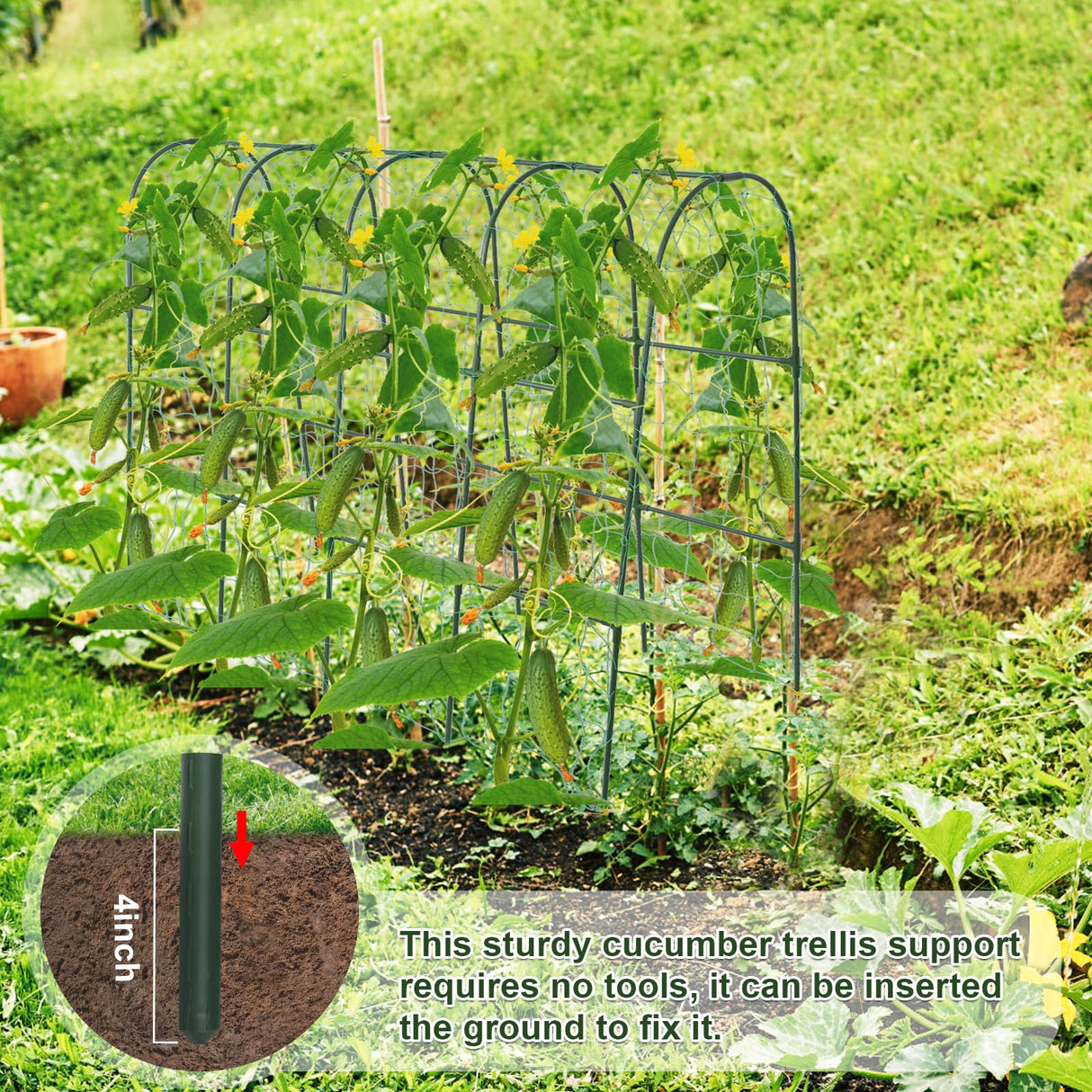 iGreely Cucumber Trellis for Raised Bed, U-Shape Garden Arch Metal Support for Climbing Plants, Metal Arch Vegetables Trellis, Plant Support for Vine (Green, 69.3" L×30" W×47.2" H)