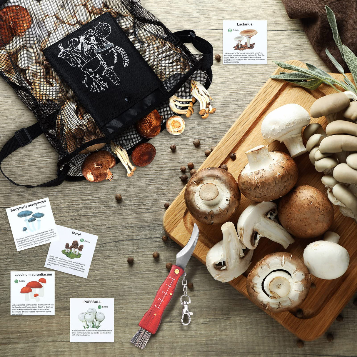Seajan 18 Pcs Mushroom Foraging Kit with Hunting Bag, Knife Brush Guide Cards and Notebook for Mushroom Lovers(Black)