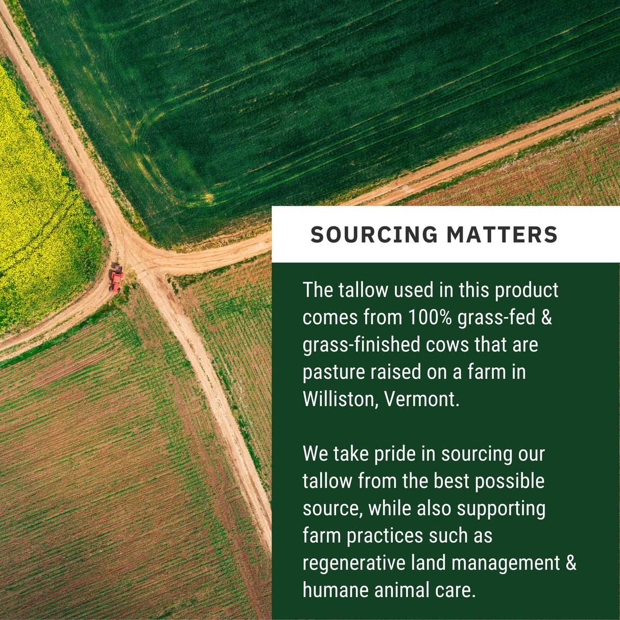 3 Pack Tallow Honey Moisturizer | Only 2 Ingredients: 100% Grass-Fed Tallow + Raw Wild Honey | Handmade in USA | Unscented Face & Body Balm – 2 oz