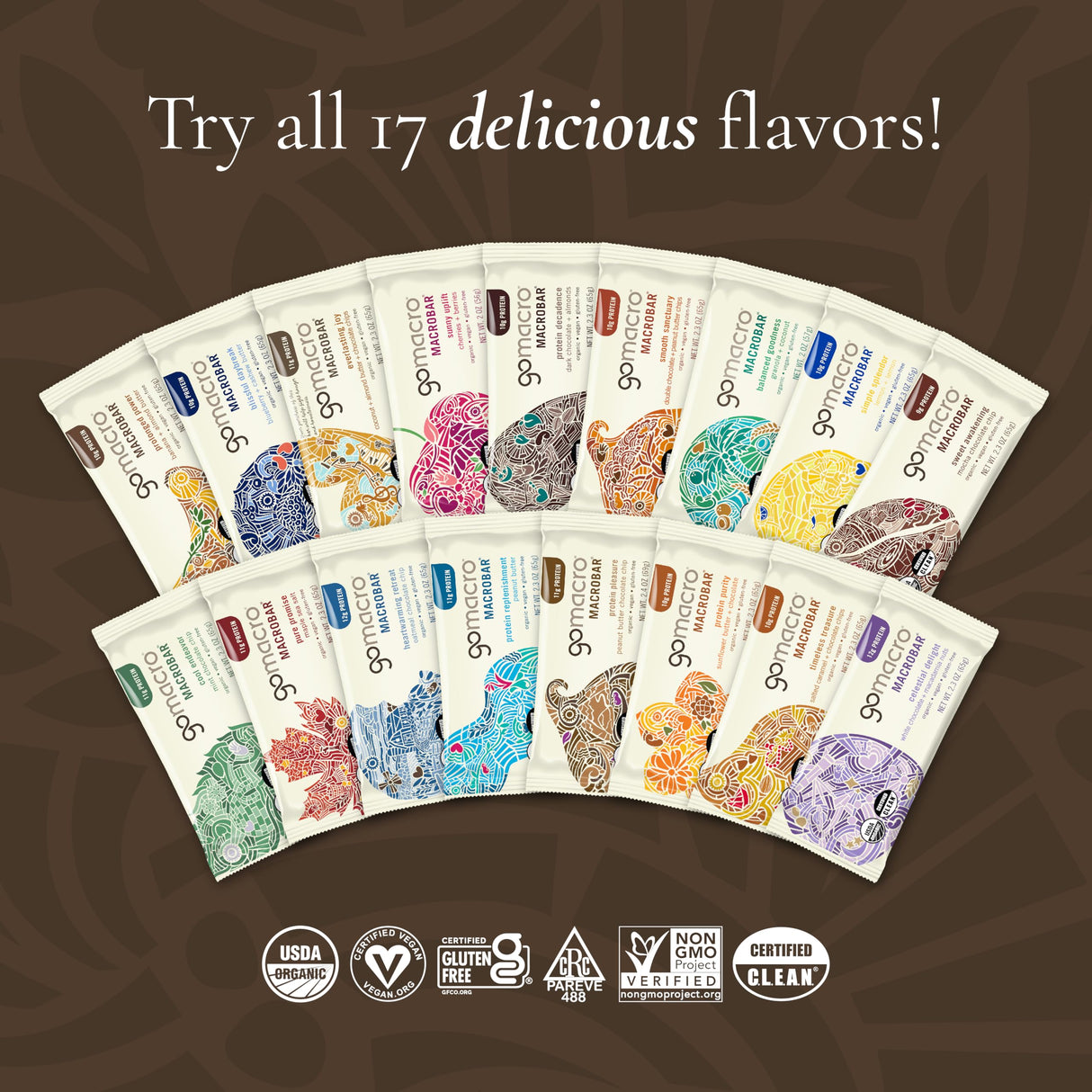 GoMacro MacroBar Organic Vegan Protein Bars - Coconut + Almond Butter + Chocolate Chips (2.3 Ounce Bars, 12 Count)