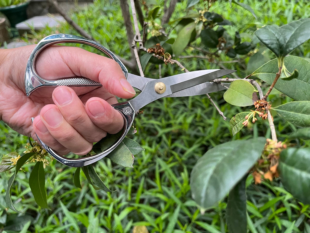 Horsvill Indoor Plant Shears Garden Scissors, Flower Pruners Made of Japan SK5 Stainless Steel, Flowers Herbs and Plant Cutters, Clippers, Trimmers, Loppers, Bonsai Potted Plant Pruning Scissors