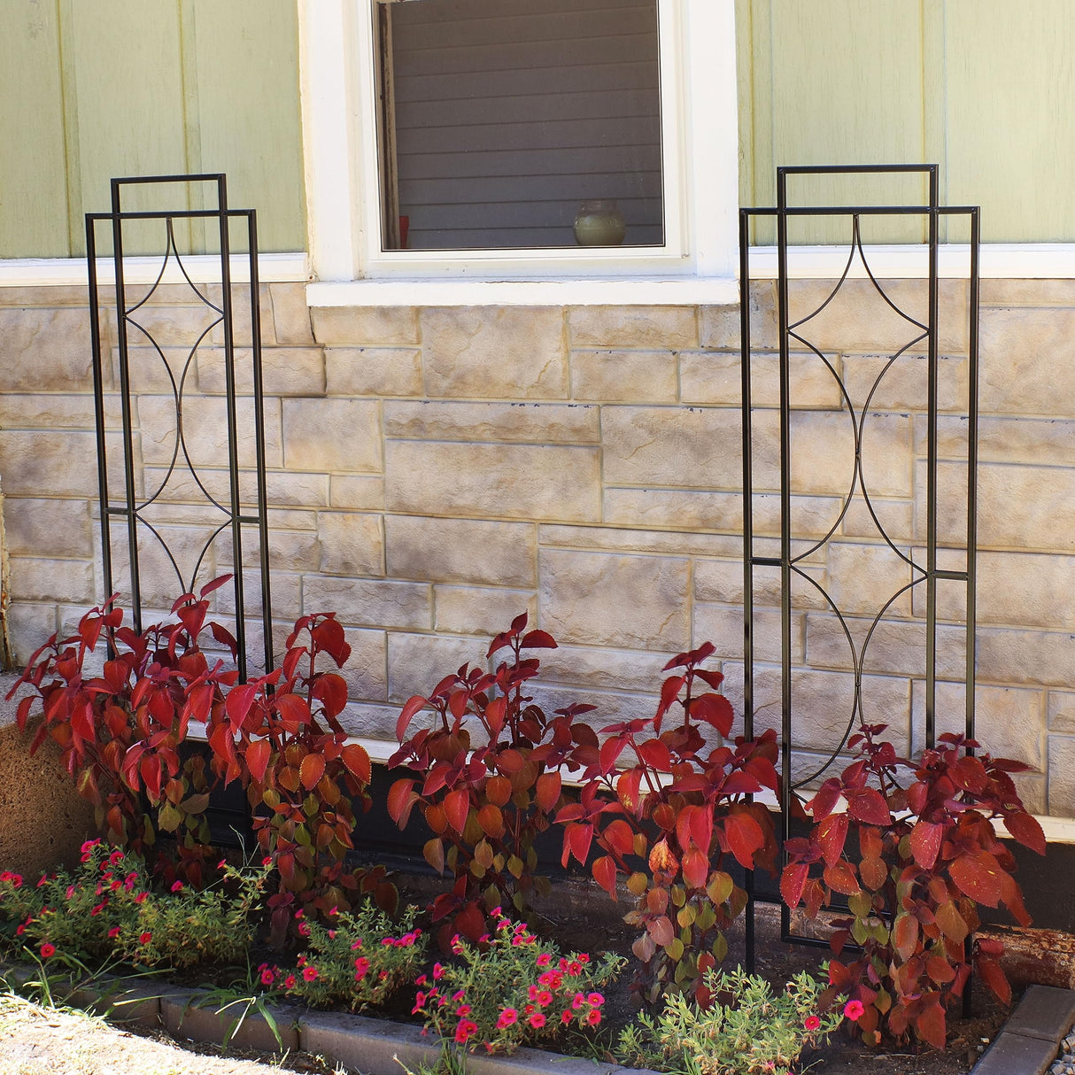 Sunnydaze 60" Black Metal Garden Trellis for Climbing Plants, 2-Pack