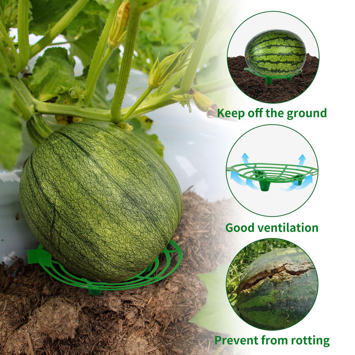 15 Pack Melon Cradle for Garden Pumpkin Support Stand Trellis,Avoid Ground Rot,Plastic Plant & Garden Support for Pumpkin Watermelons Squash Strawberries(Green)