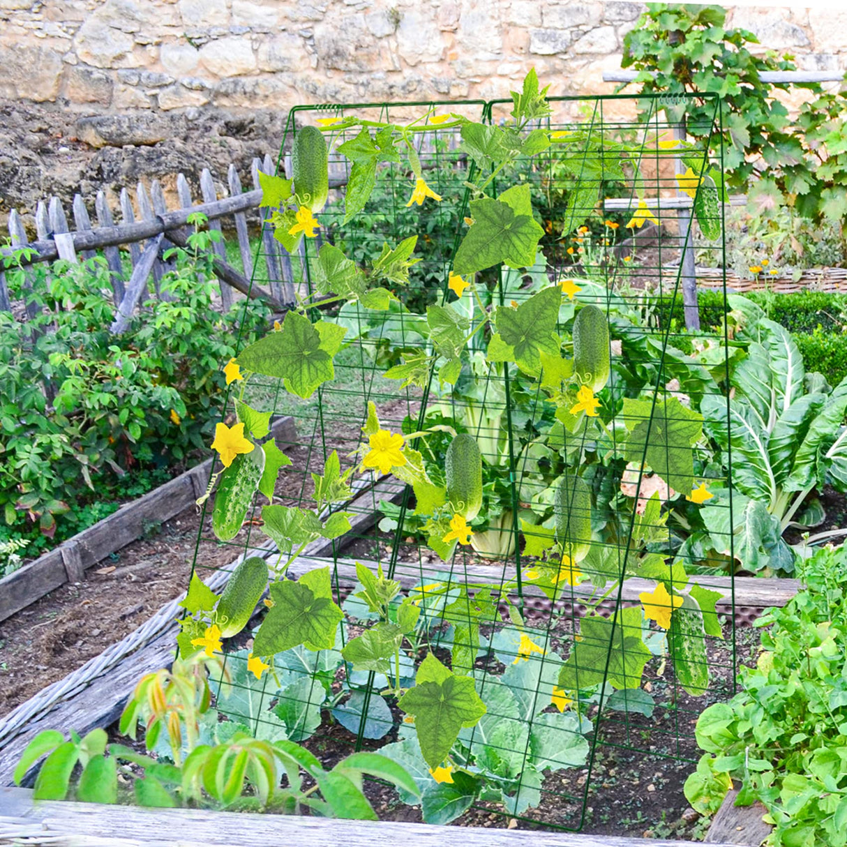 Kyrieval 48" Hx 18" L Cucumber Trellis for Garden A Frame Plant Support for Raised Bed, Outdoor Indoor Plant Garden Trellis for Climbing Plants