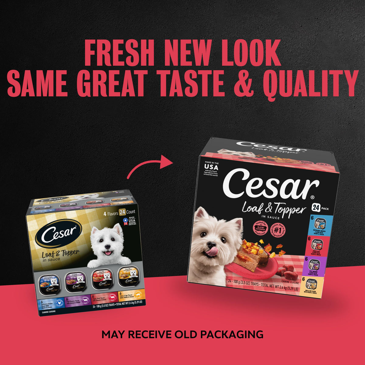 Cesar Loaf & Topper Wet Dog Food, Variety Pack, 3.5 oz, 24 Count