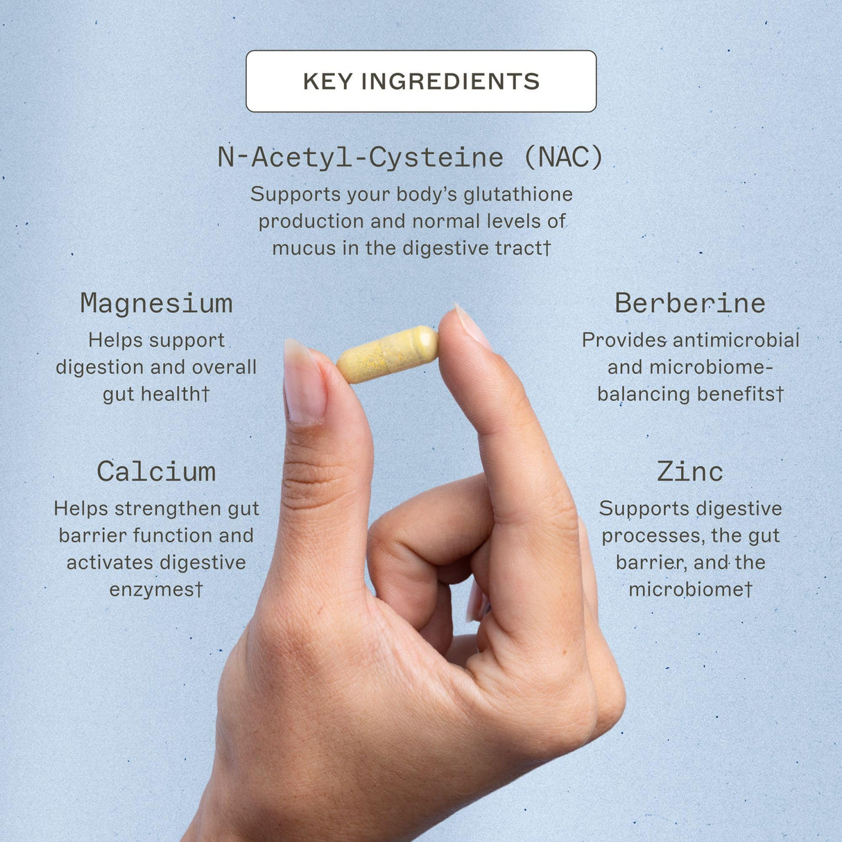 Amy Myers MD Microb-Clear - Microbiome Balance Support - Aids Gut Health, Daily Bowel Movements & Bloating - Supports Healthy Gut Flora - Gluten-Free, Dairy-Free & Non-Soy - 120 Capsules (60 Servings)