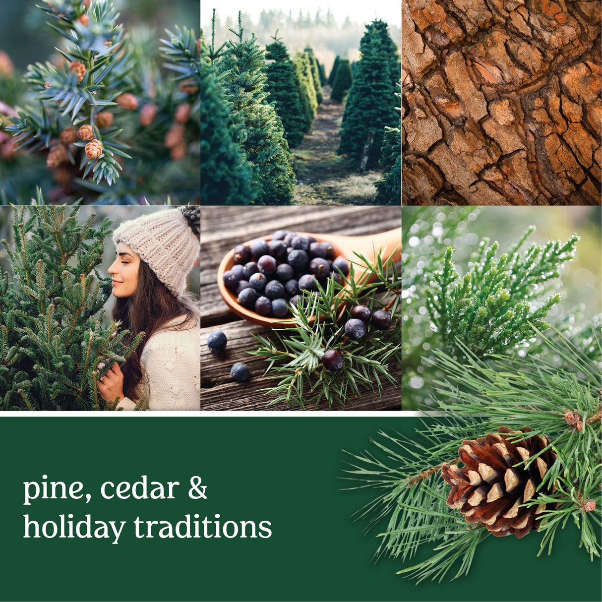 Yankee Candle Balsam & Cedar Scented Signature 20oz Large Jar 2-Wick Candle Over 60 Hours of Burn Time Christmas | Holiday