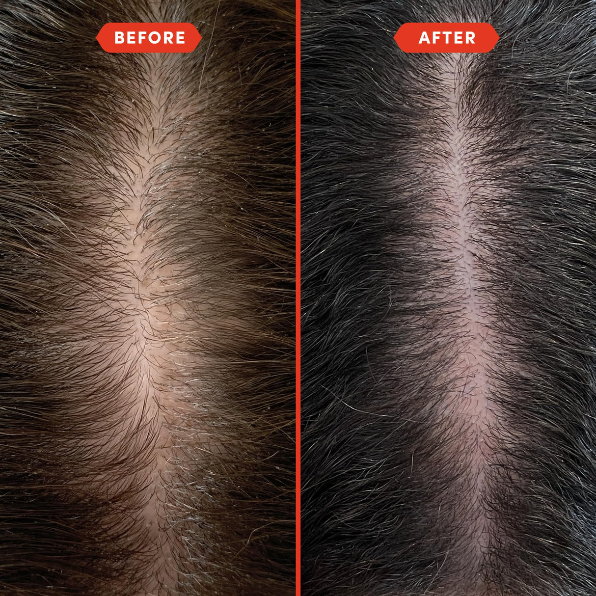 Fable and Mane Hair Oil - HoliRoots Strengthening Serum for Damaged, Frizzy Hair with Amla, Castor Oil for Hair Health - 3.4FL oz