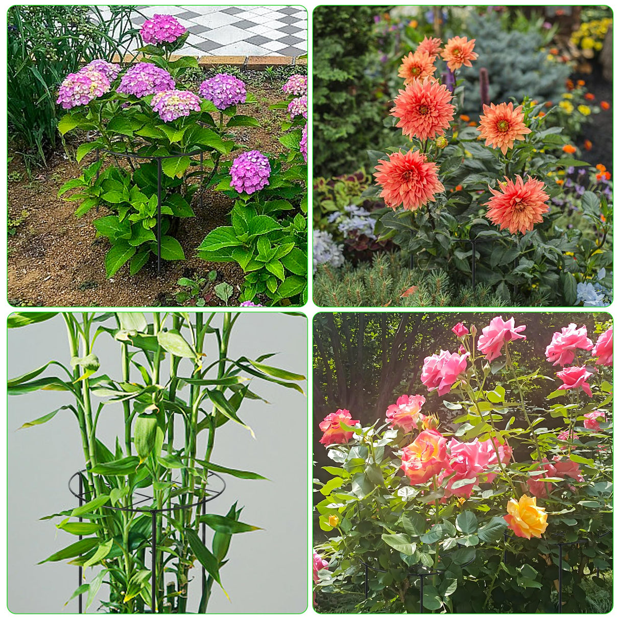 Peony Cages and Supports, 31.5"H x 12.6"D Plant Supports for Outdoor Plants