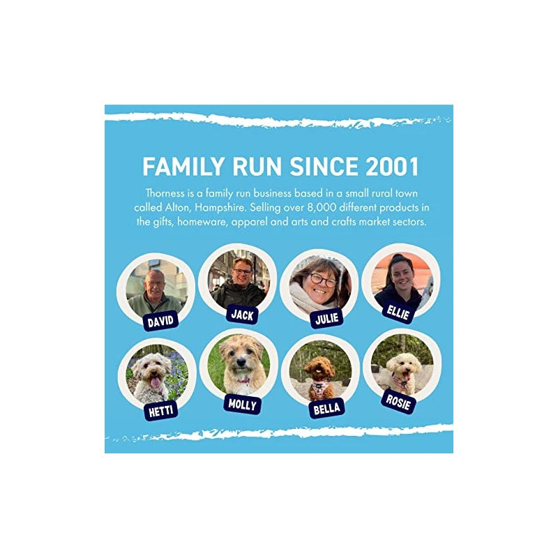 30cm Tall Free Standing Galileo Thermometer with Seven Blue Floating Globes | Measures temperatures from 16 Degrees Centigrade to 28 Degrees | Also in Fahrenheit | Weather Station | Water Thermometer