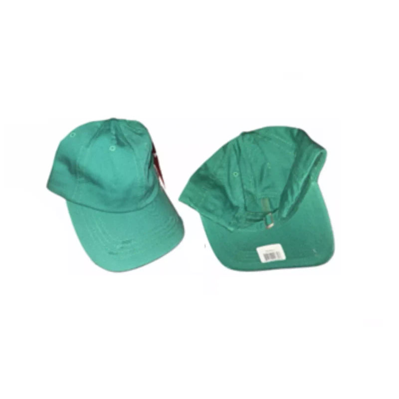 Philadelphia Eagles Cap Flapping Eagle Battery Operated (Distressed Hat Upgrade)