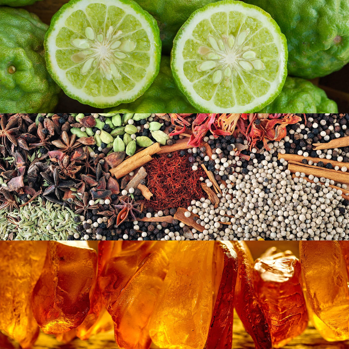 Calvin Klein Obsession for Women Eau de Parfum, 1.7 Fl Oz