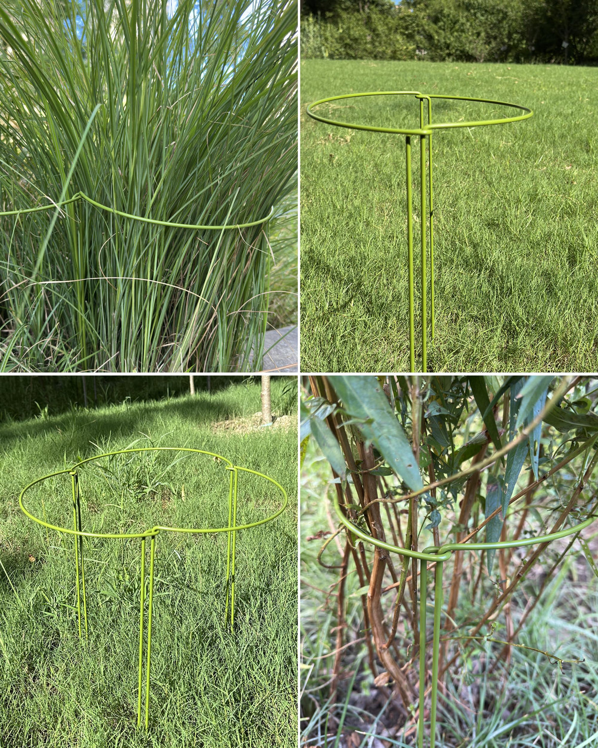 10-Pack Plant Support Stakes, Heavy Duty Steel Plant Stakes as Monstera Plant Support & Peony Cages, Metal Garden Stakes for Indoor Outdoor Plants, Snake Plant & Vine Support, 10" W x 15.8" H