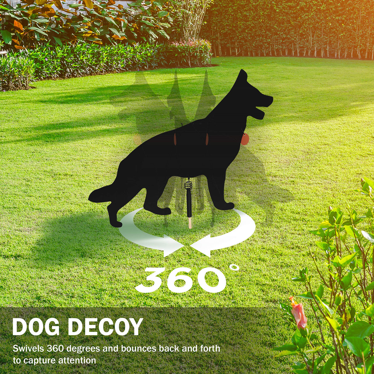 Watch Dog Goose Patrol Lone Dog Decoy – Corrugated Plastic Predator Deterrent for Geese, Deer, Seagulls, Rabbits | Humane Outdoor Pest Repellent | Visual Scare Device | Made in USA