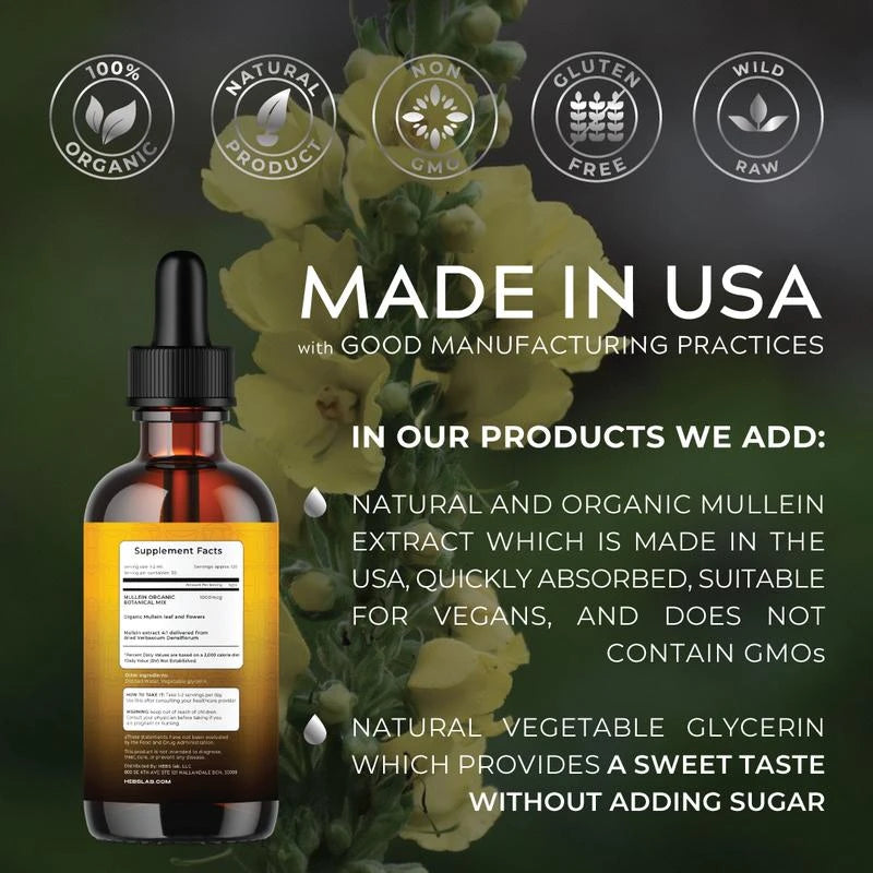 Mullein Drops - Mullein Leaf Extract - Wellness Supplement - Made in USA by HEBS lab. lung health support immune system gluten free vegan soy free - Specification: 2FL. Oz